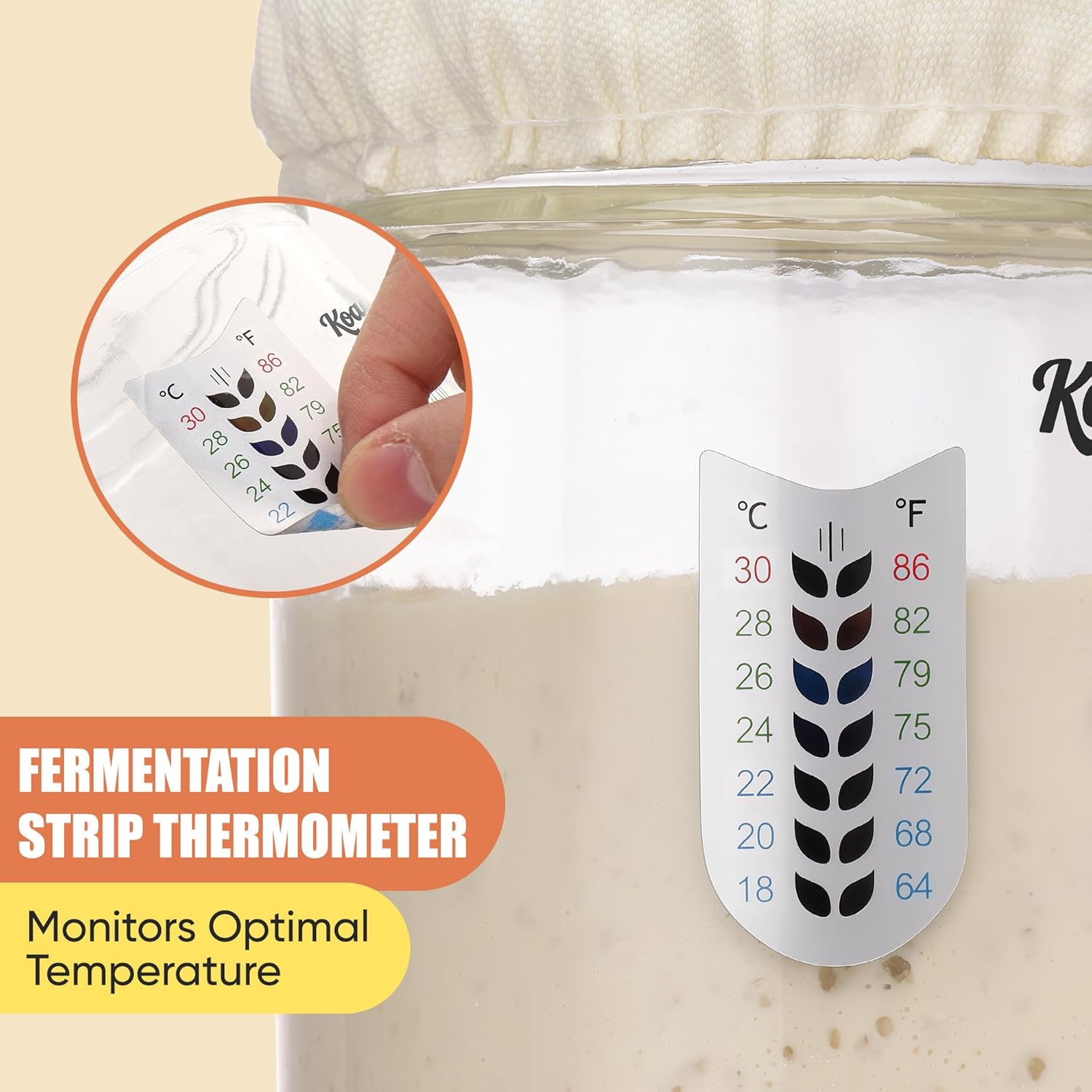 KOACKL Sourdough Fermentation Strip Thermometer for Optimal Temperature